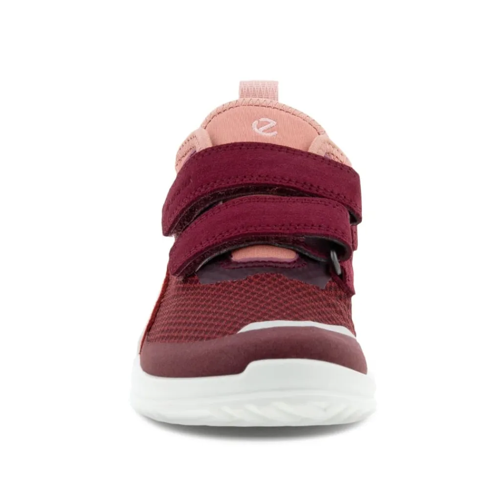 Online Ecco Sneakers Børn