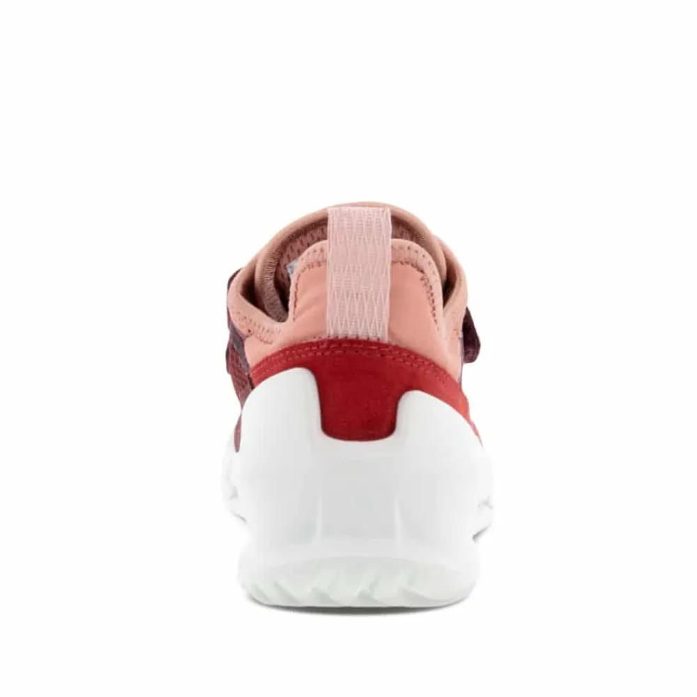 Online Ecco Sneakers Børn